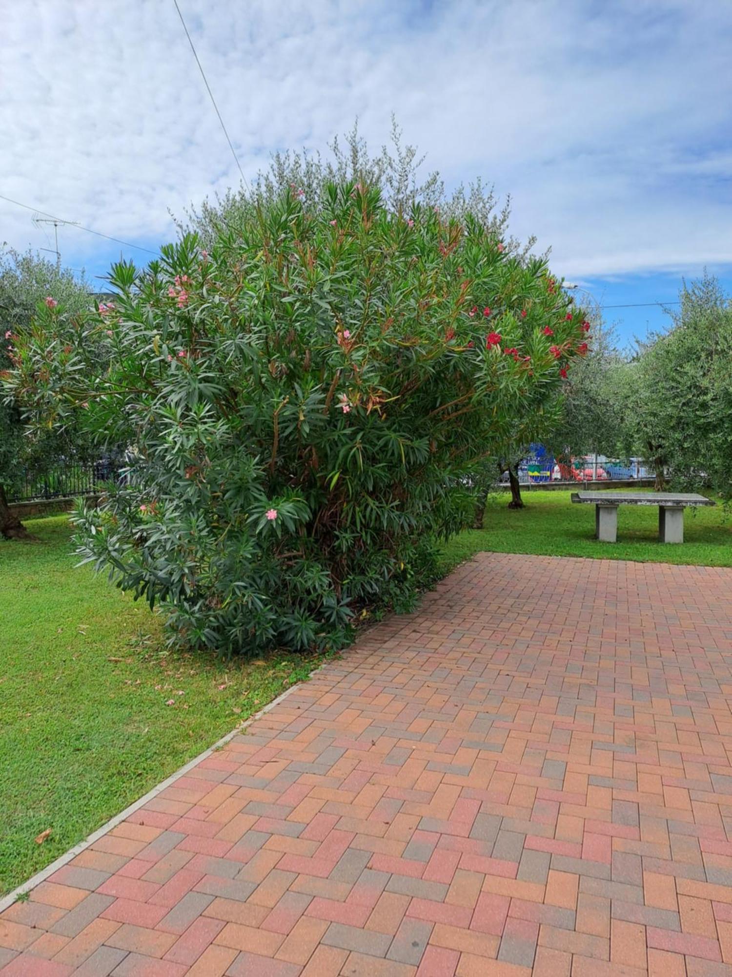 Apartamento La Casa Dei Butei Castelnuovo del Garda Exterior foto